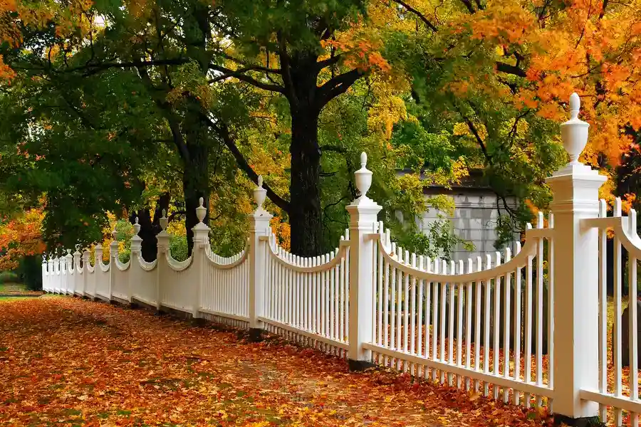 Expert Wood Fence Installation Ball Ground, GA Expert Wood Fence Installation Ball Ground, GA