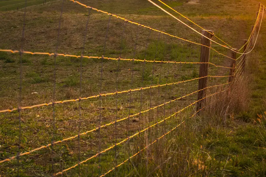 Why Chain Link Fence Installation Is Ideal For Security in Ball Ground, GA Why Chain Link Fence Installation Is Ideal For Security in Ball Ground, GA